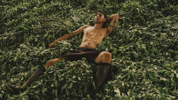 Documentary Projects — Under the Shadow of Coca, Santiago Mesa (Colombia)