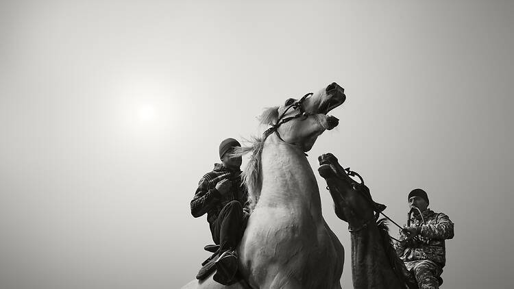 Sport — Buzkashi, Todd Antony (New Zealand)