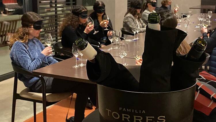 Tast de vins a cegues amb Familia Torres Tast de vins a cegues amb Familia Torres
