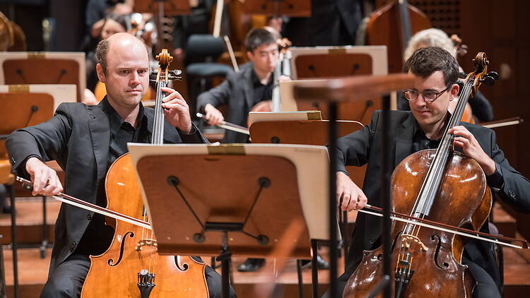 Medium shot of orchestra musicians playing cellos on a concert hall stage Medium shot of orchestra musicians playing cellos on a concert hall stage
