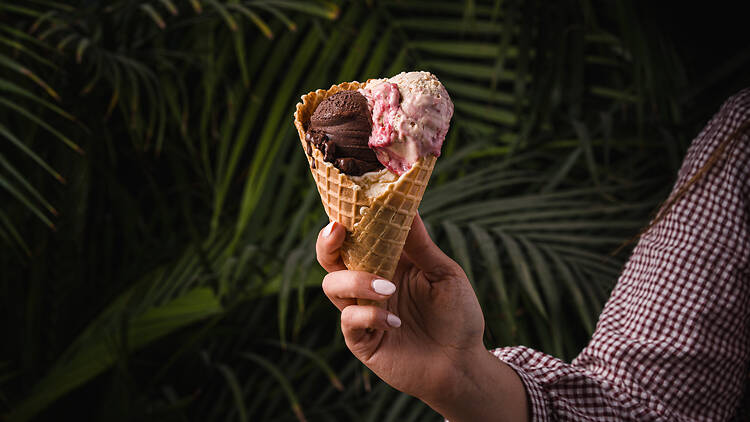 Paral·lelo Gelato Paral·lelo Gelato