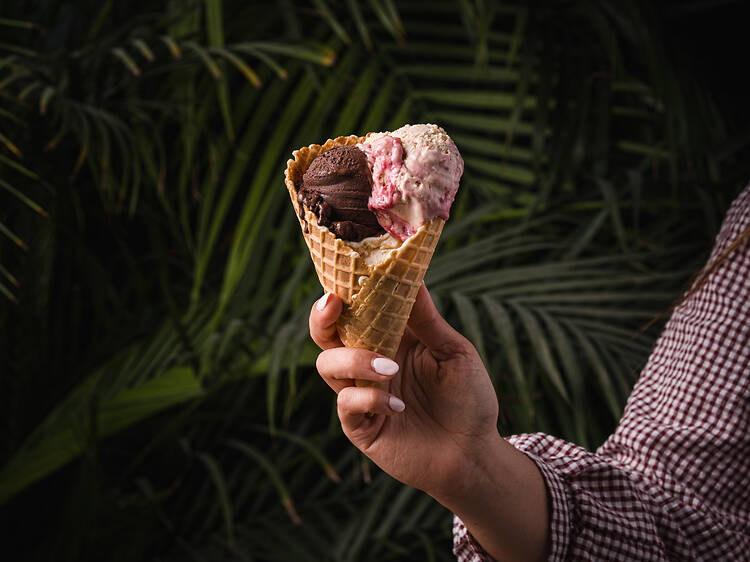 Paral·lelo Gelato Paral·lelo Gelato