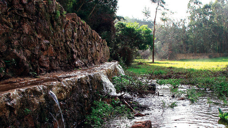 Quinta do Pisão Quinta do Pisão
