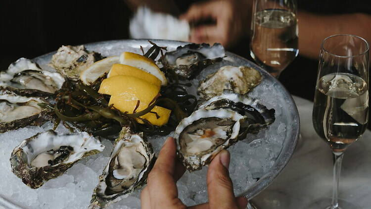 A close-up of oysters served on ice with lemon wedges. A close-up of oysters served on ice with lemon wedges.
