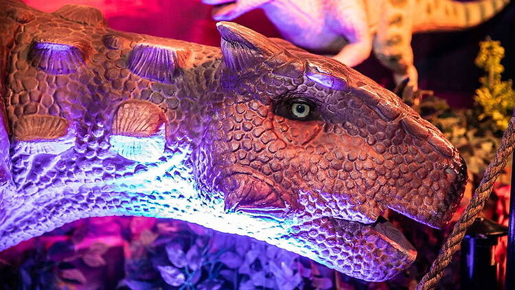 A close-up of a dinosaur model displayed indoors. A close-up of a dinosaur model displayed indoors.