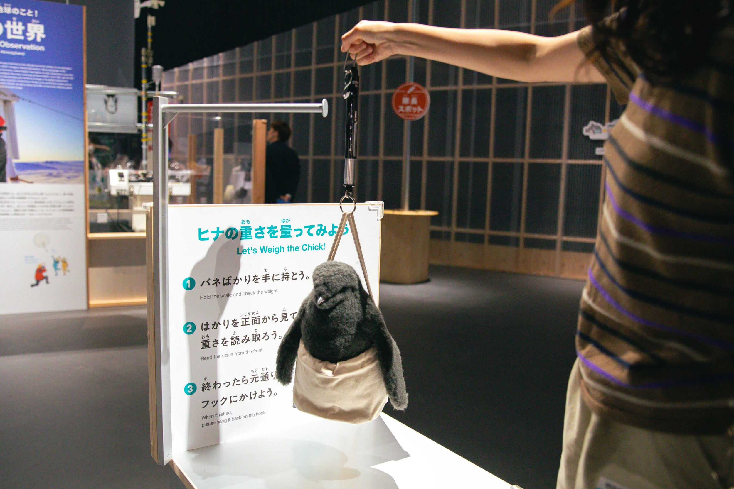 大南極展