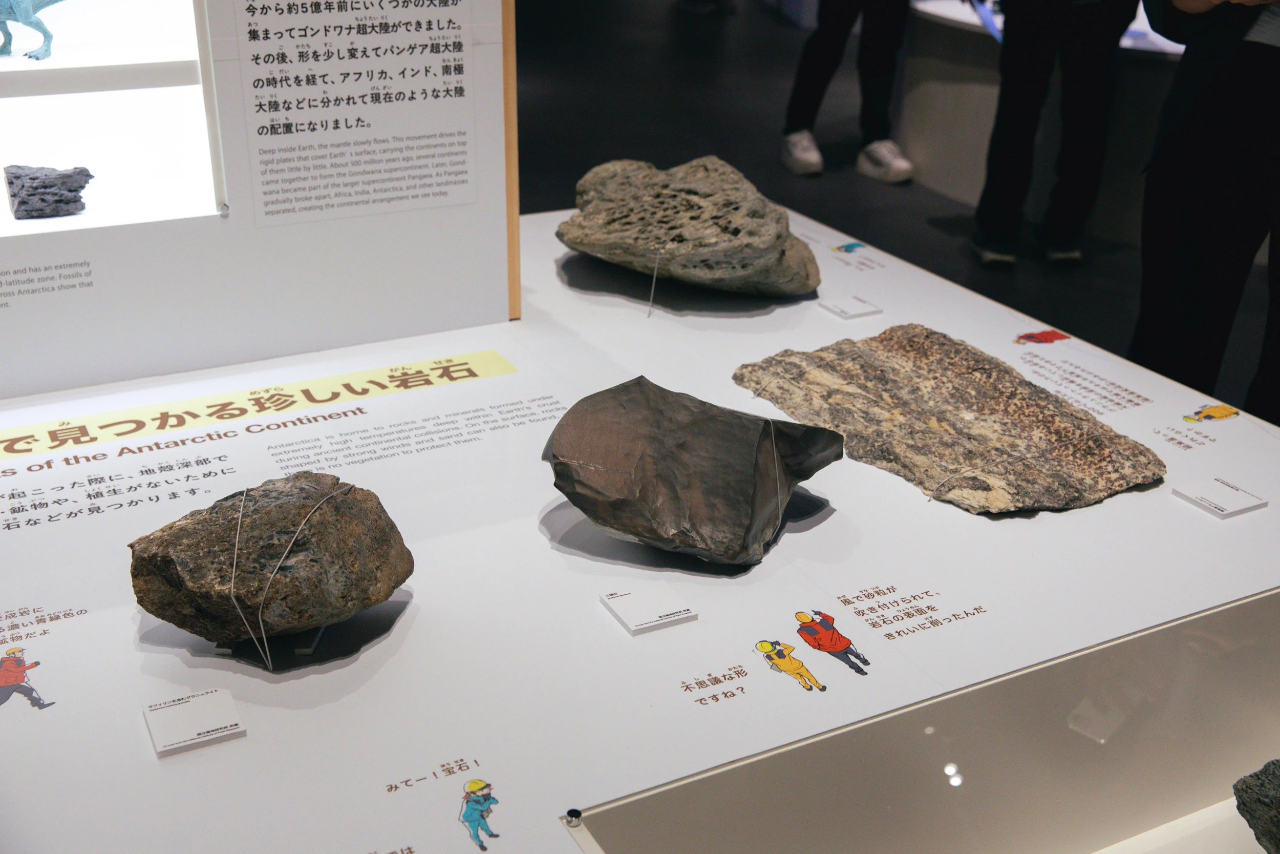 大南極展
