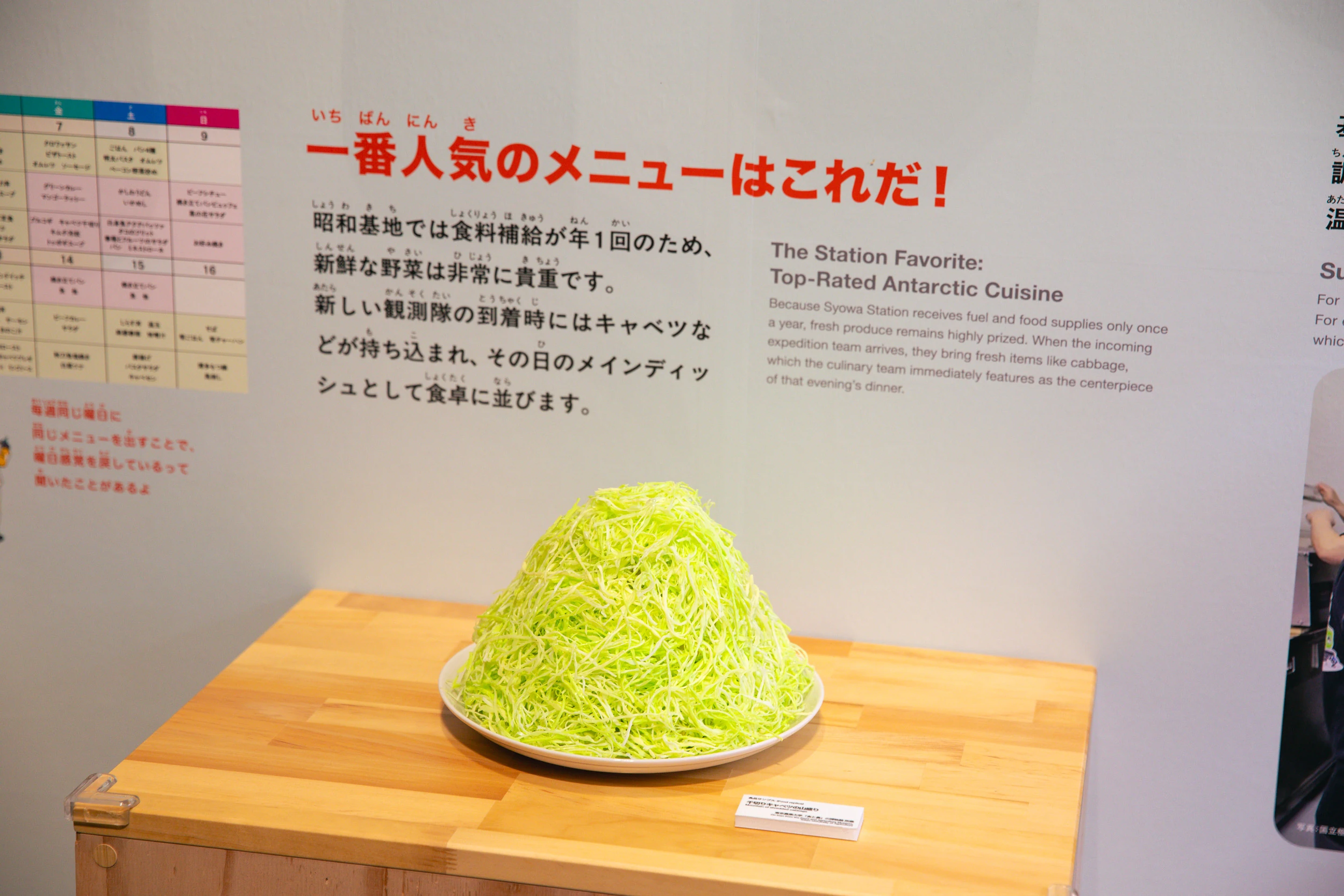 大南極展