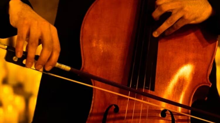 A close-up of hands playing a cello. A close-up of hands playing a cello.