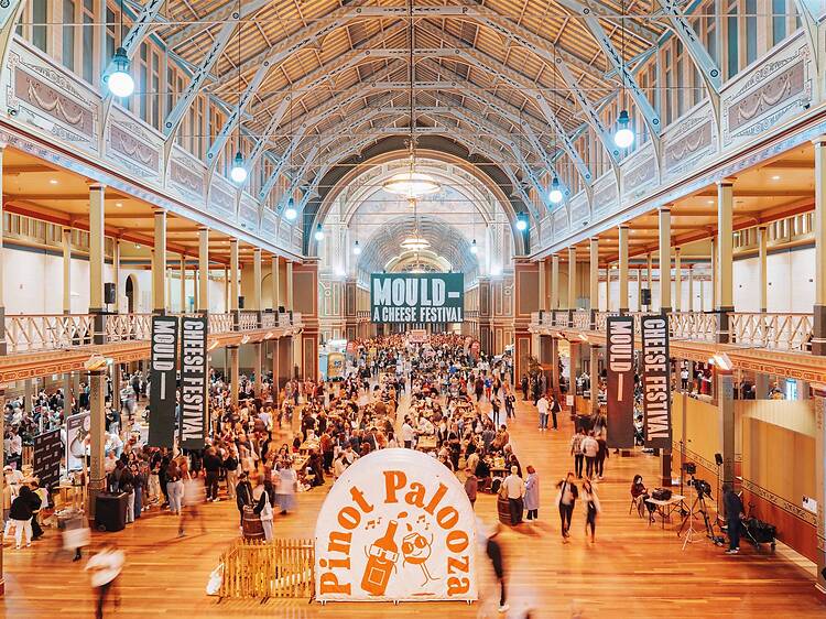 Mould x Pinot Palooza Mould x Pinot Palooza
