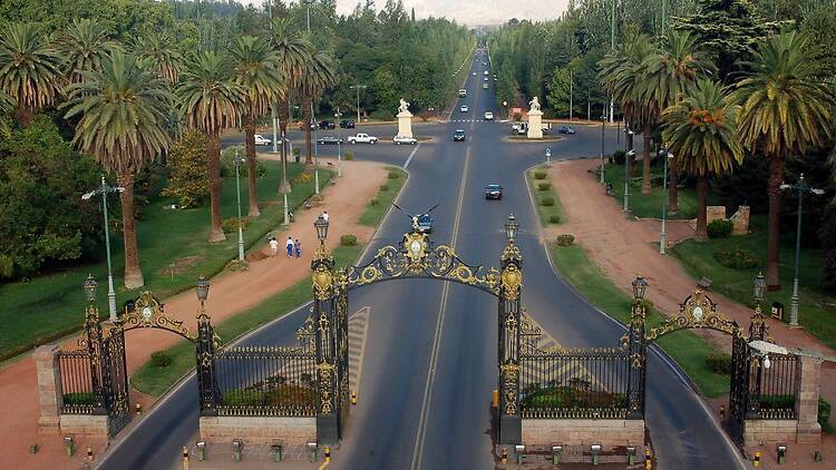 Mendoza City: where wine meets urban life