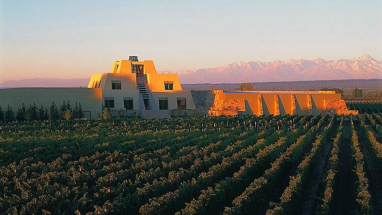 Luján de Cuyo: the heart of Mendoza wine country