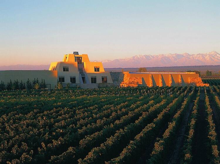 Luján de Cuyo: the heart of Mendoza wine country
