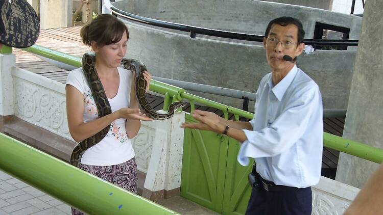 Snake Farm – Queen Saovabha Memorial Institute