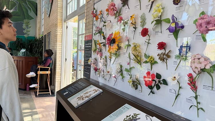 A wide shot of a person viewing a flower display in an exhibition space. A wide shot of a person viewing a flower display in an exhibition space.