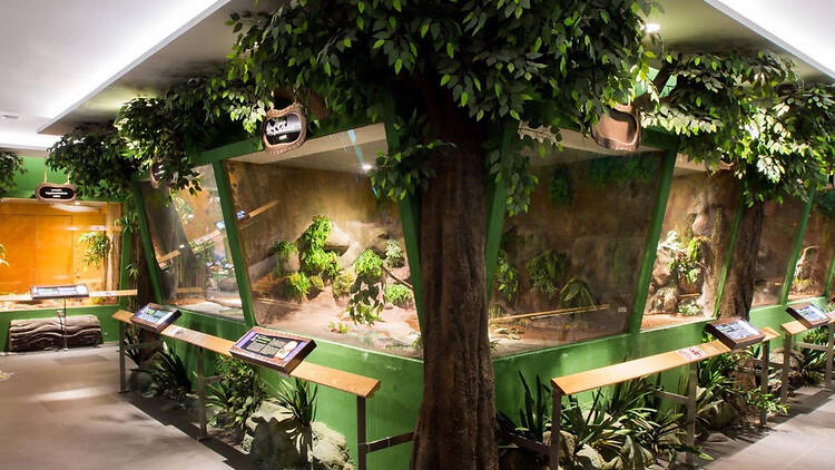 Siam Serpentarium Siam Serpentarium