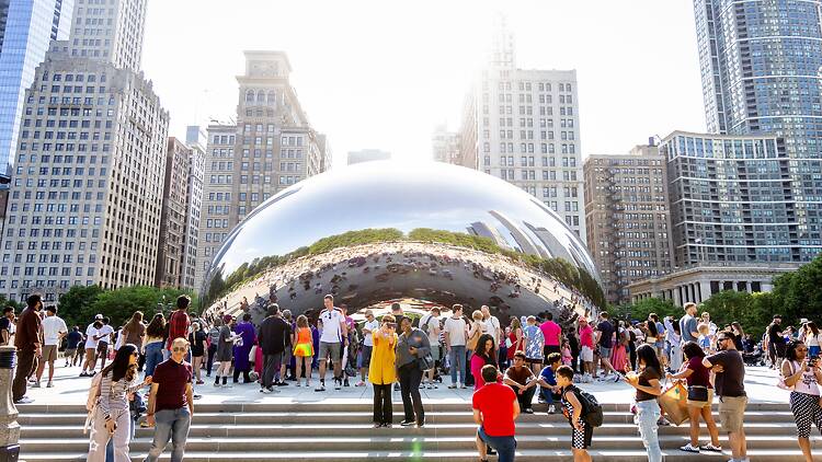The Bean The Bean