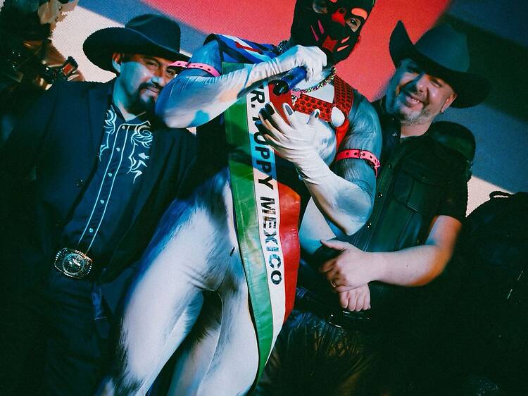 Orgullo y visibilidad puppy en el Pride CDMX 2026 Orgullo y visibilidad puppy en el Pride CDMX 2026