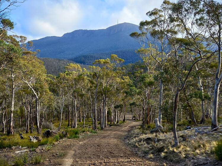 Knocklofty Reserve View of Mount Wellington from Knocklofty Reserve