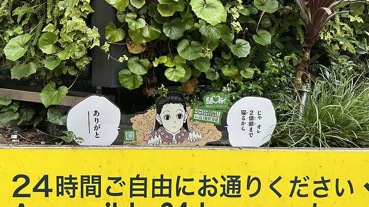 Hunter xhunter Hunter xhunter