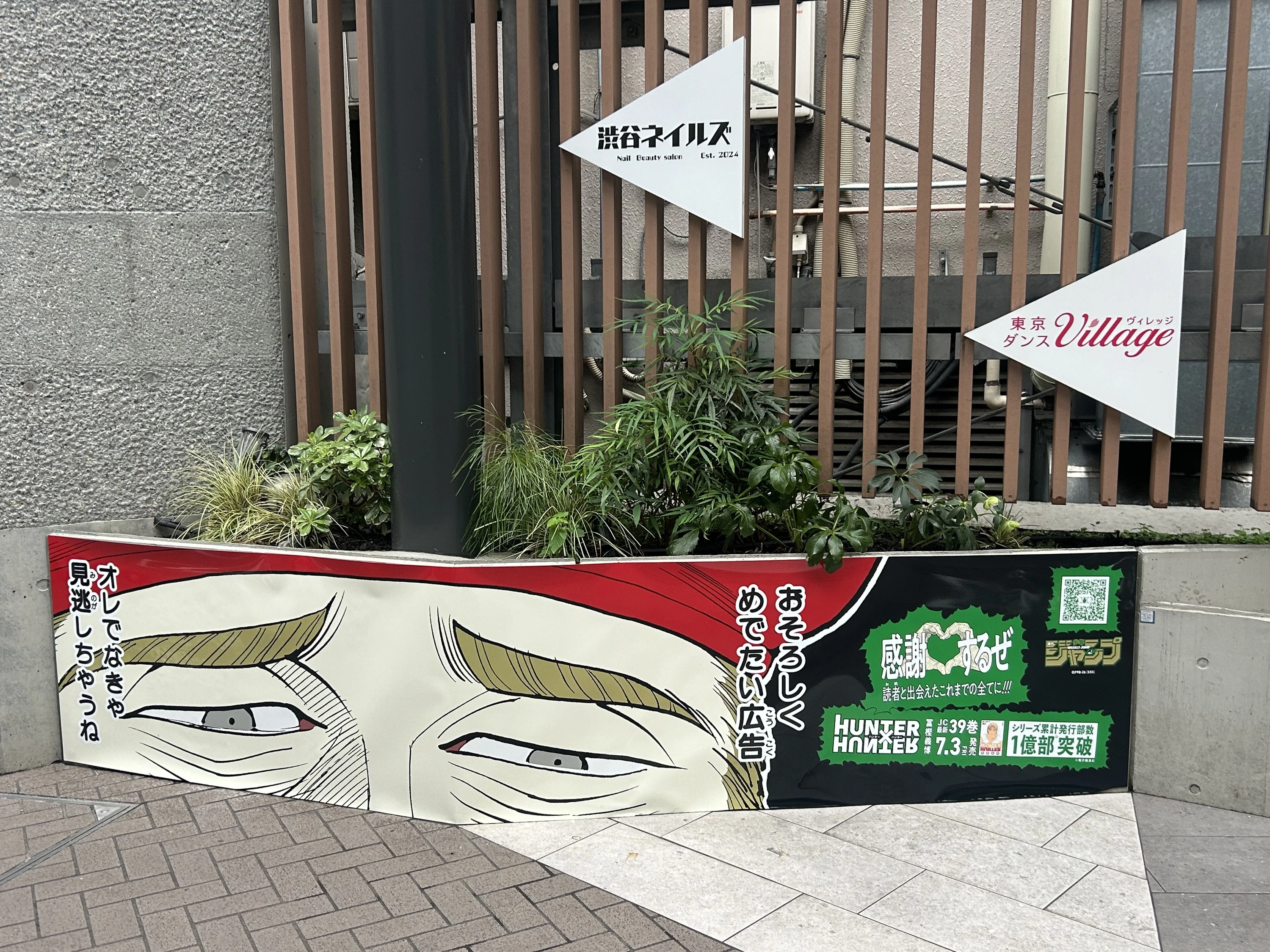 Hunter x hunter