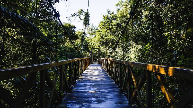 Bosque Guardián Lodge, San Martín, Peru