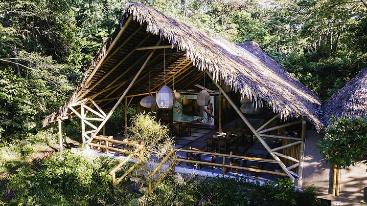 Bosque Guardián Lodge, San Martín, Peru