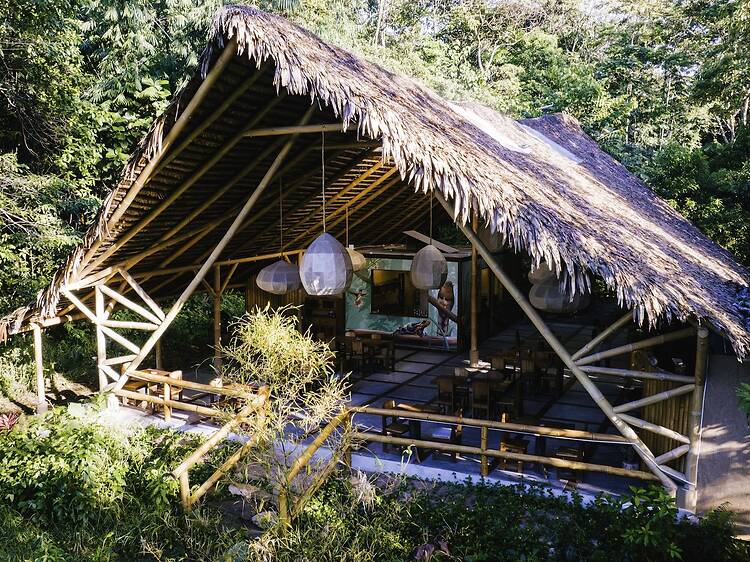 Bosque Guardián Lodge Bosque Guardián Lodge