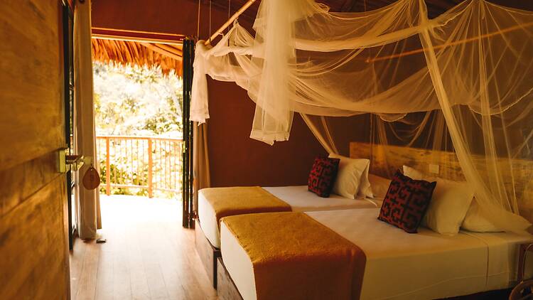 Bosque Guardián Lodge, San Martín, Peru