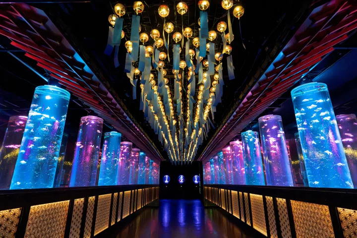 ⭐️ガラスの水族館⭐️箱根ガラス⭐️アクアリウムアート⭐️水泡