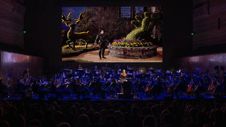 Edward Scissorhands Live in Concert A live symphony performing with Edward Scissorhands playing in the background