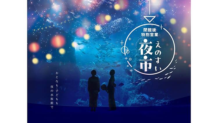 えのすい夜市 えのすい夜市