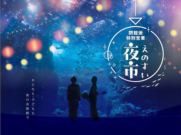 えのすい夜市 えのすい夜市