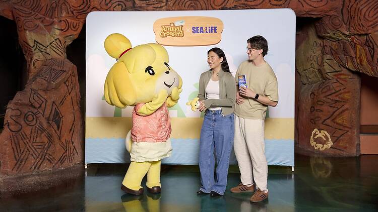 The Animal Crossing: New Horizons experience Two people with an Animal Crossing character