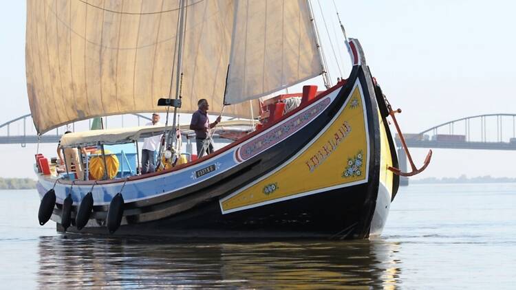 Varino Liberdade: para quem quer passarinhar Varino Liberdade: para quem quer passarinhar