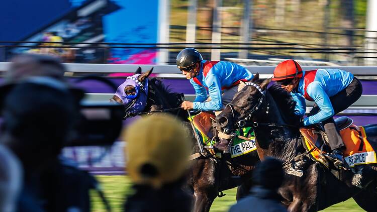 Horses are getting ready for the much-anticipated main race at the Hollywoodbets Durban July