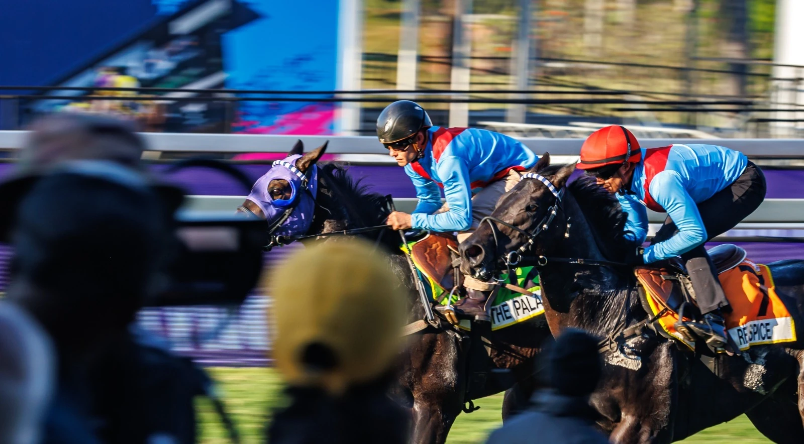 Horses are getting ready for the much-anticipated main race at the Hollywoodbets Durban July