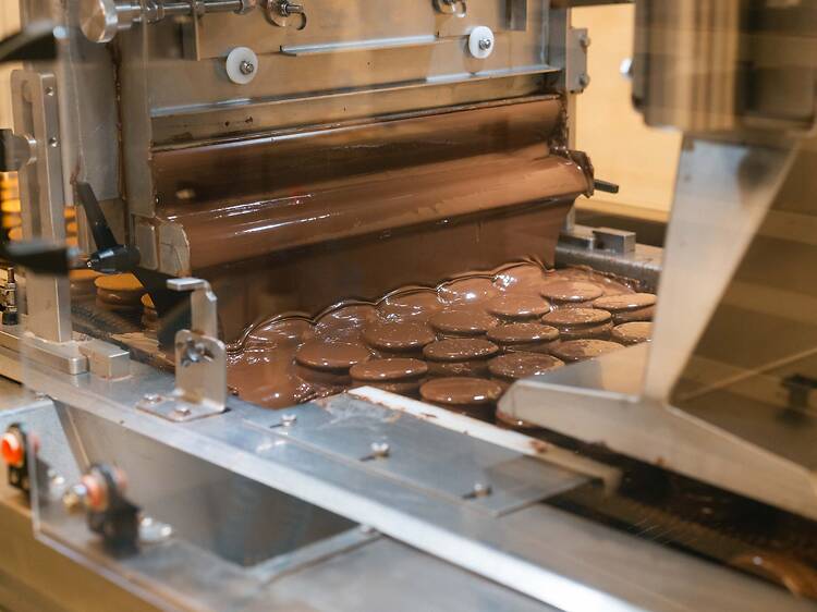 Chocolezza: Step Inside a Chocolate Factory Chocolezza: Step Inside a Chocolate Factory