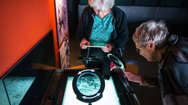 High-angle view of two women interacting with a museum exhibit featuring magnifying lenses over a light table. High-angle view of two women interacting with a museum exhibit featuring magnifying lenses over a light table.
