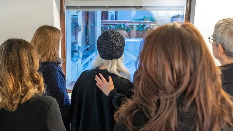 Rear-view group of people looking through a window indoors. Rear-view group of people looking through a window indoors.