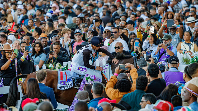 Hollywoodbets Hollywoodbets Durban July winner, Note to Self