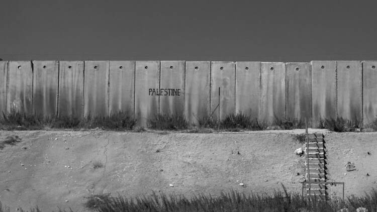 Conducir por Palestina (Casa Árabe). Conducir por Palestina (Casa Árabe).