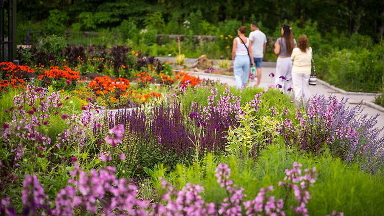Wide shot view of colorful flowers blooming beside people walking on a garden path. Wide shot view of colorful flowers blooming beside people walking on a garden path.