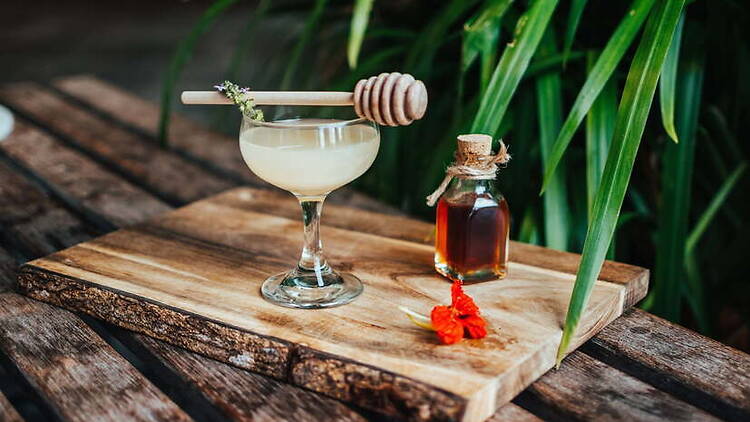 Botanical Mixology Summer Series Botanical Mixology Summer Series