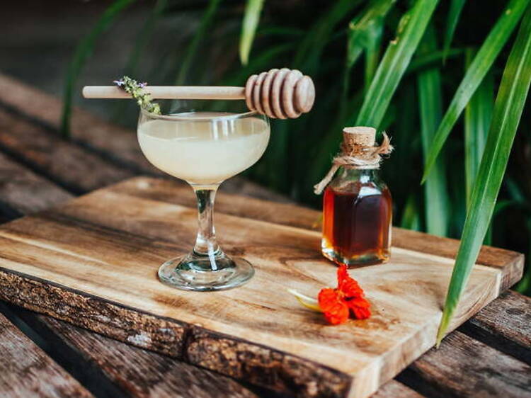 Botanical Mixology Summer Series Botanical Mixology Summer Series