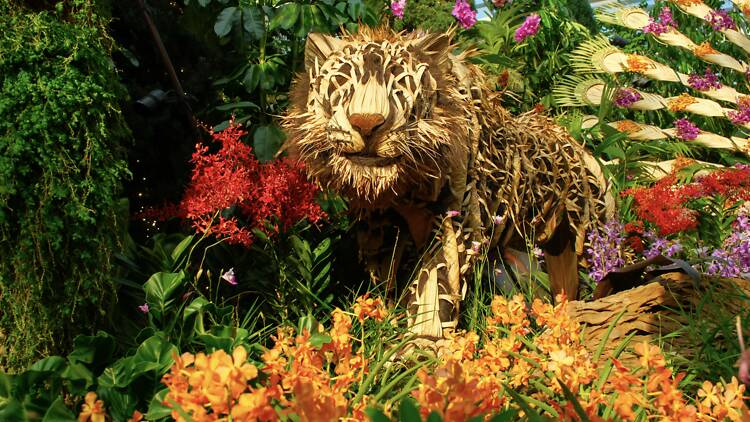 Take a floral trip to Indonesia at Orchid Extravaganza Take a floral trip to Indonesia at Orchid Extravaganza