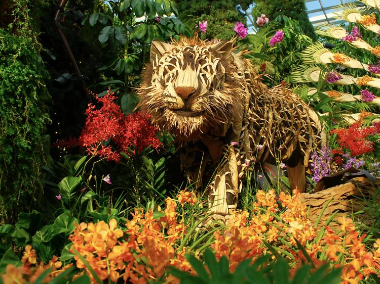 Orchid Extravaganza: Rhythm of the Rainforest Orchid Extravaganza: Rhythm of the Rainforest