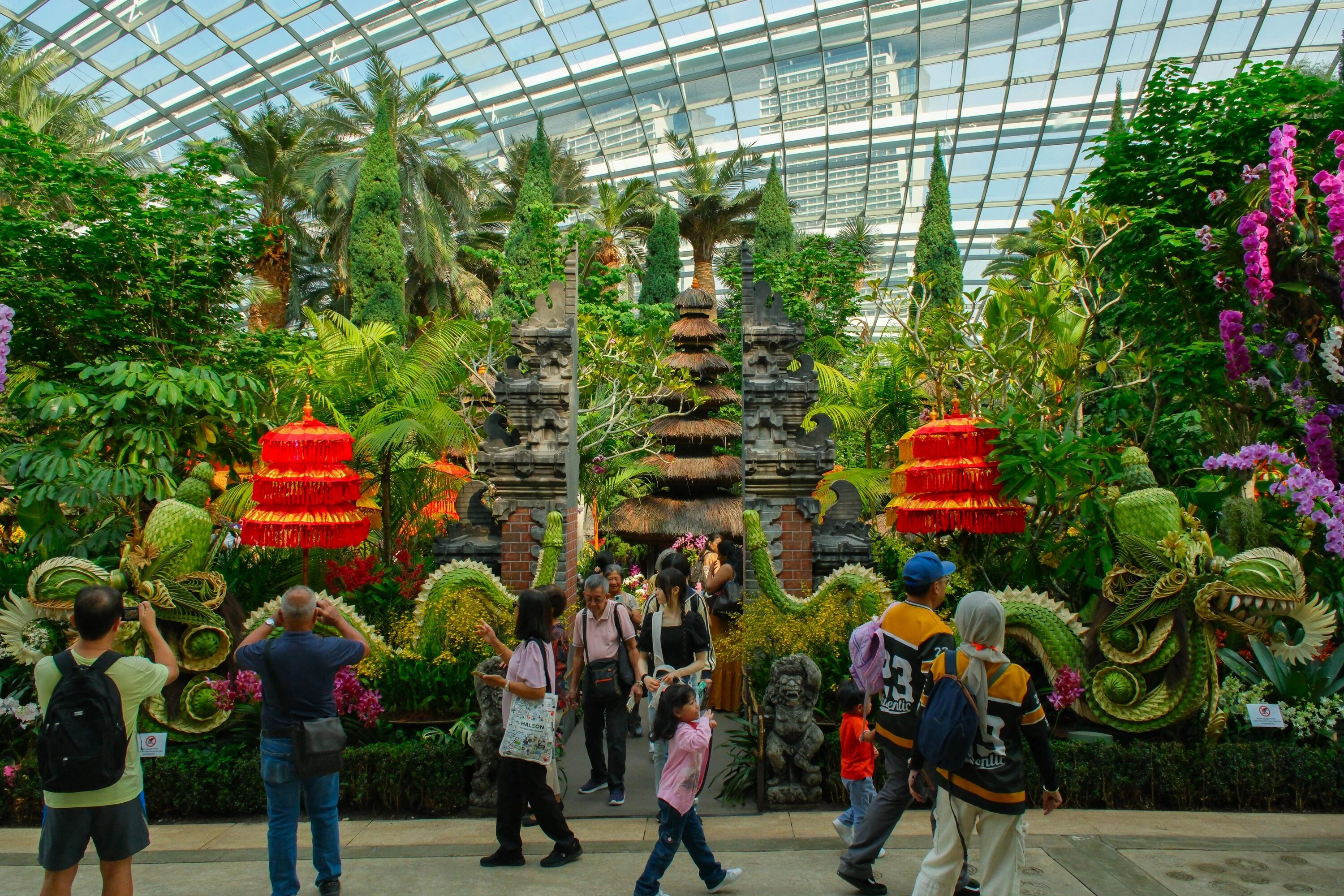 Orchid Extravaganza: Rhythm of the Rainforest