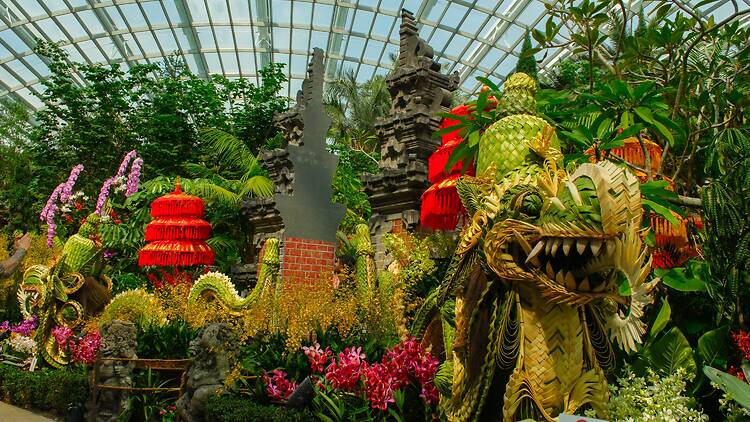 Orchid Extravaganza: Rhythm of the Rainforest Orchid Extravaganza: Rhythm of the Rainforest