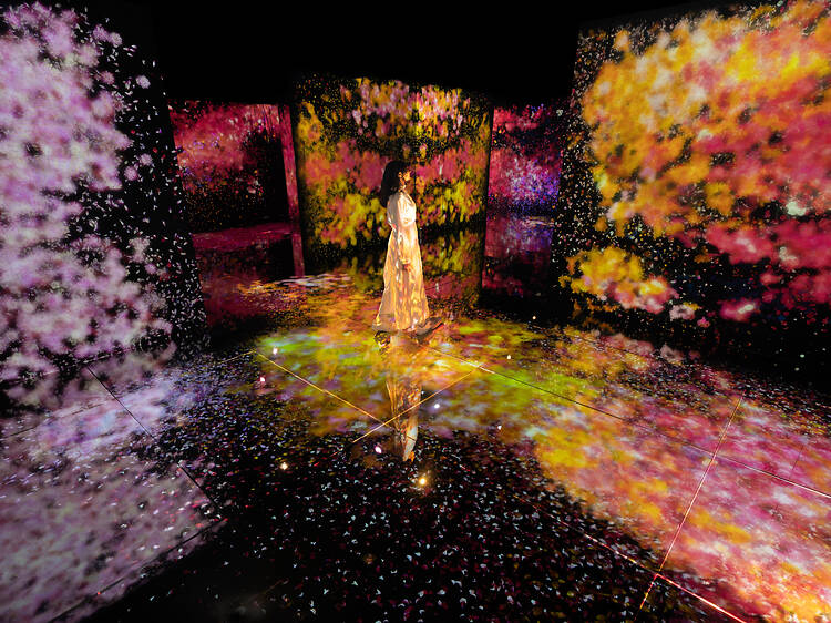 At this exhibition at NMACC Mumbai, you become part of art